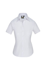 Classic Ladies Oxford S/S Blouse